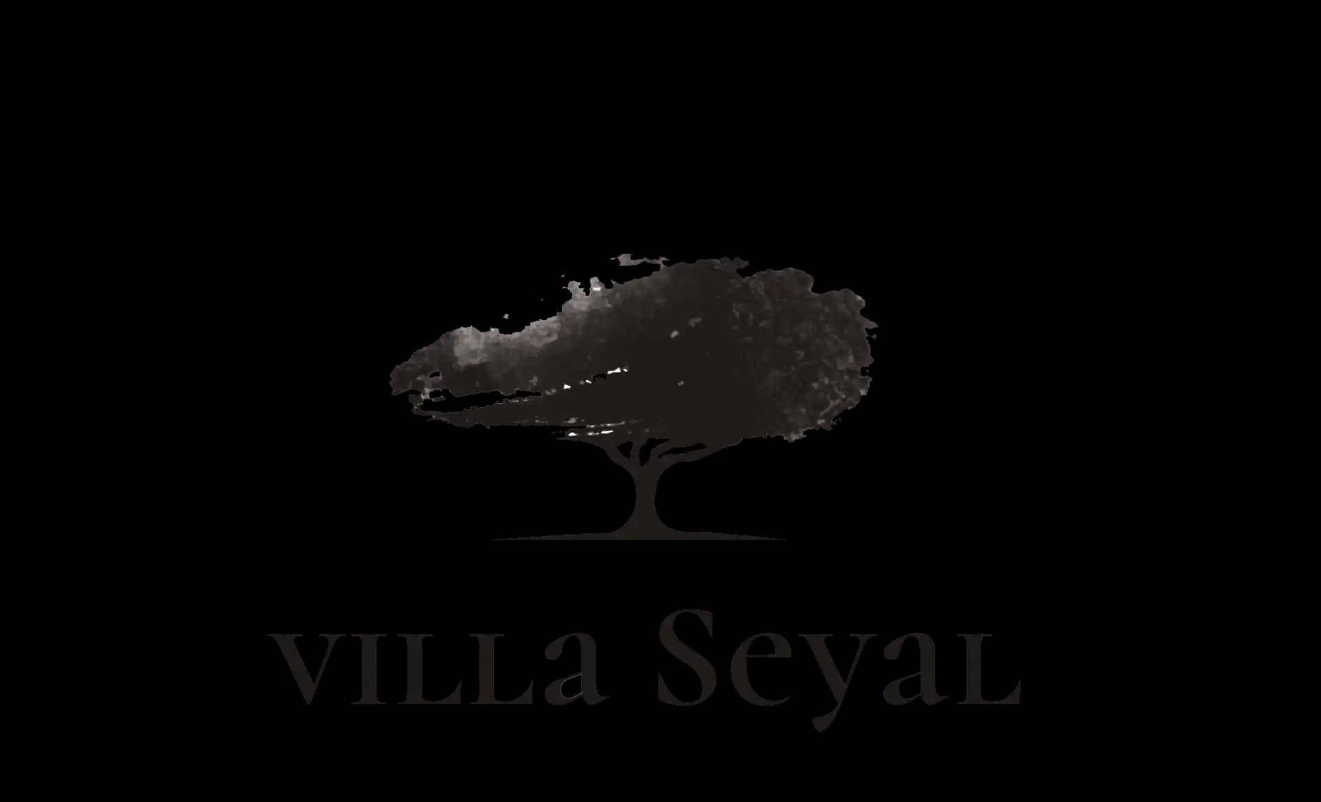 Villa Seyal